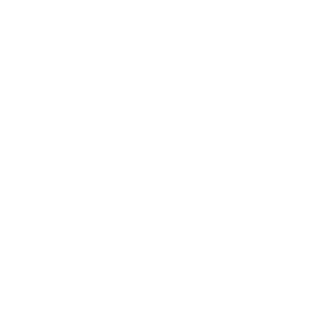Custom-Application-Development